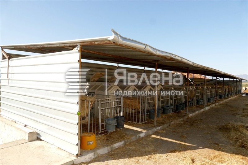 Till salu  Industribyggnad region Vratsa , Gorna Kremena , 11950 kvm | 50927705 - bild [9]
