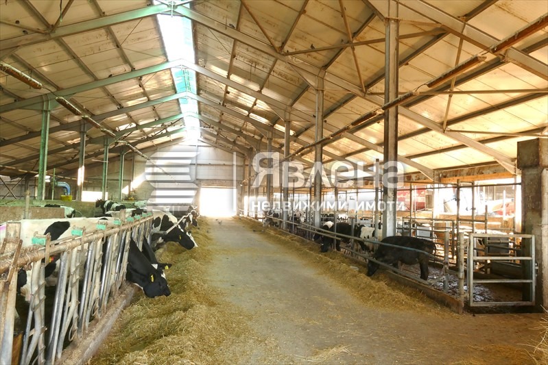 Till salu  Industribyggnad region Vratsa , Gorna Kremena , 11950 kvm | 50927705