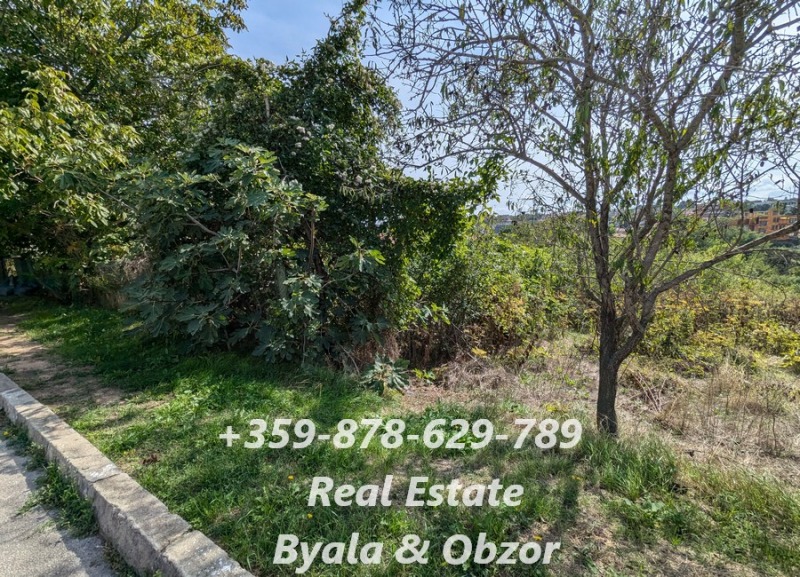 For Sale  Plot region Varna , Byala , 770 sq.m | 57655563 - image [2]