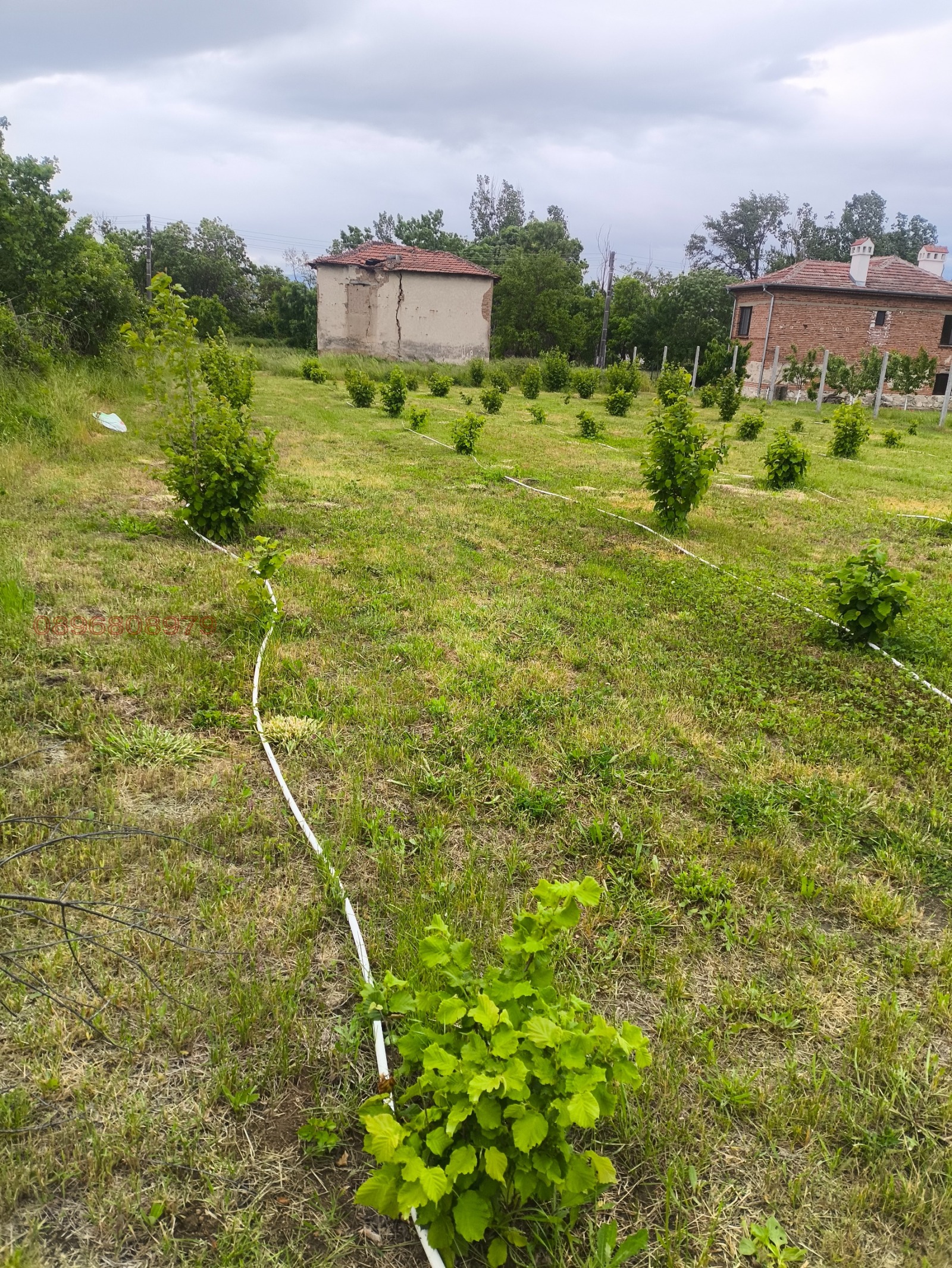 Продава КЪЩА, с. Щърково, област Пазарджик