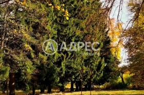 ������� ����� | Imot.bg � ����� ������ 8