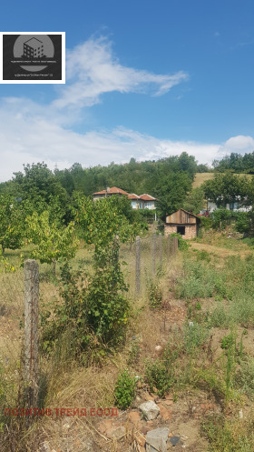 Plot Mlamolovo, region Kyustendil 1