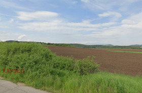 ����� ������� ������,�. �������, ������ �����