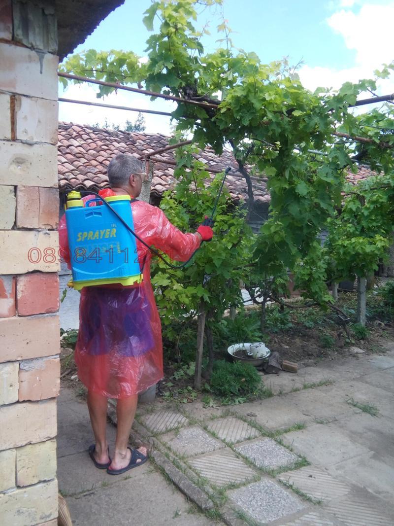 Продава КЪЩА, с. Ново Янково, област Шумен, снимка 3 - Къщи - 52781462