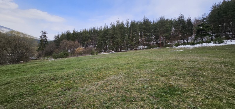 À vendre  Parcelle région Pazardjik , Velingrad , 746 m² | 82969426