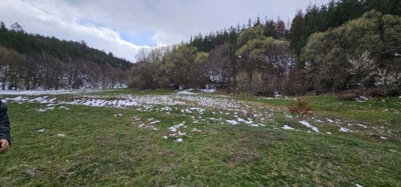 À vendre  Parcelle région Pazardjik , Velingrad , 746 m² | 82969426 - image [2]