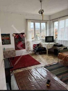 ������ ������� ����