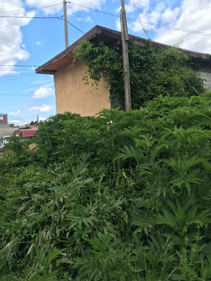 Eladó  Ház Sofia , Fakulteta , 25 négyzetméter | 46944331 - kép [2]