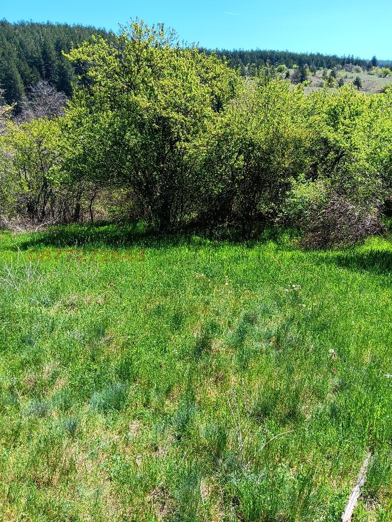 ������� ������ | Imot.bg � ����������� 2