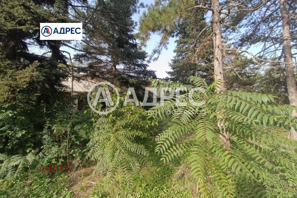 ������� ������ | Imot.bg � ����������� 6