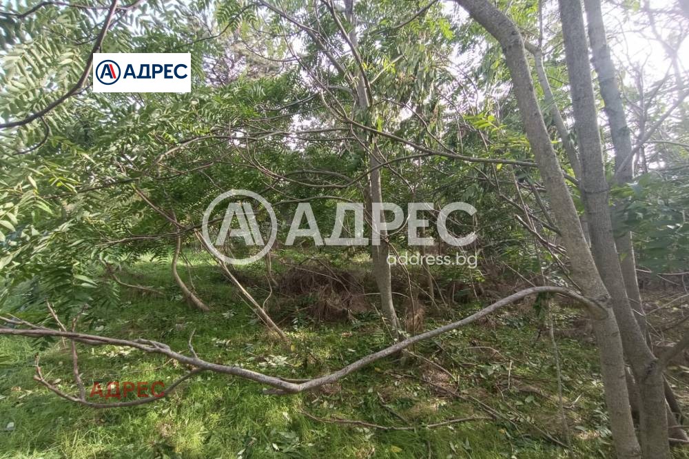 ������� ������ | Imot.bg � ����������� 4