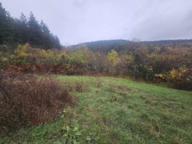 ������� ������ | Imot.bg � ����� ������ 5