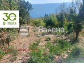 ����� ������� ������,���� �����, ����� ������