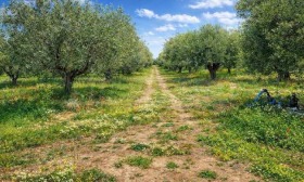 ������� ������ | Imot.bg � ����� ������ 7