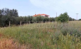������� ������ | Imot.bg � ����� ������ 3