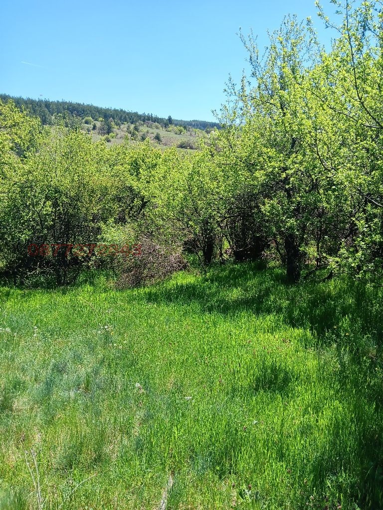 Продава ПАРЦЕЛ, с. Долна Диканя, област Перник