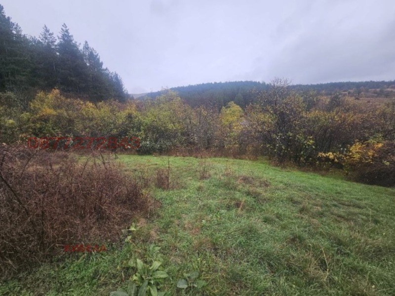 Продава ПАРЦЕЛ, с. Долна Диканя, област Перник, снимка 5 - Парцели - 53491284