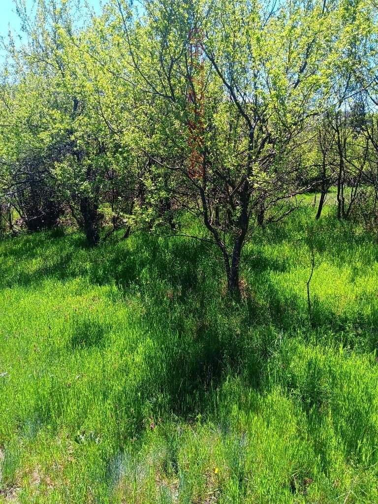 Продава ПАРЦЕЛ, с. Долна Диканя, област Перник, снимка 3 - Парцели - 53868443