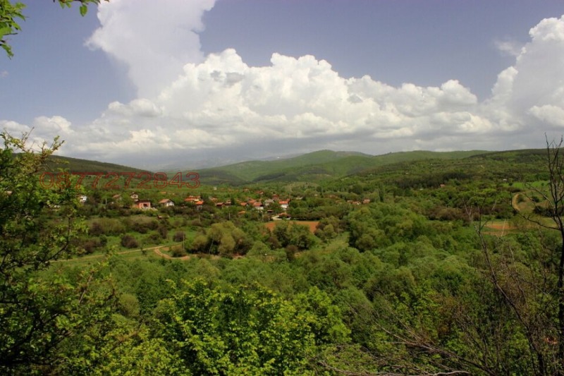 Zu verkaufen  Handlung region Pernik , Dolna Dikanja , 1308 qm | 12039311 - Bild [3]