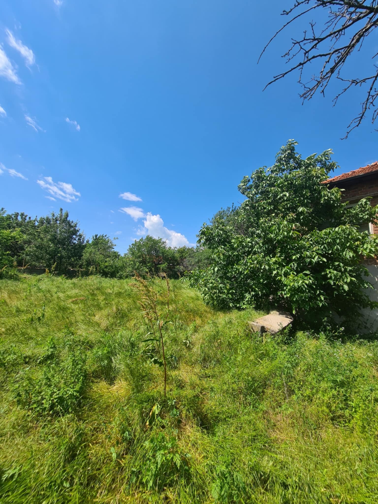 Продава КЪЩА, с. Клокотница, област Хасково, снимка 3 - Къщи - 56572421