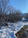 Продава ПАРЦЕЛ, с. Брестник, област Пловдив, снимка 2