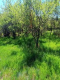 Продава ПАРЦЕЛ, с. Долна Диканя, област Перник, снимка 3