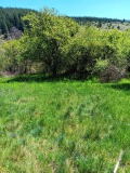 Продава ПАРЦЕЛ, с. Долна Диканя, област Перник, снимка 2