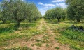 Продава ПАРЦЕЛ, Извън страната, област Извън страната, снимка 7
