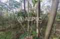 Продава ПАРЦЕЛ, с. Сърнино, област Добрич, снимка 3