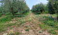Продава ПАРЦЕЛ, Гърция, Халкидики • 2200000 € / 4302826.00 лв. • 95013142 2