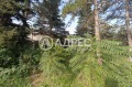 Продава  Парцел област Добрич , с. Сърнино , 4500 кв.м | 11703225 - изображение [6]