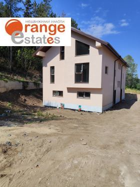 ������ ������� ����