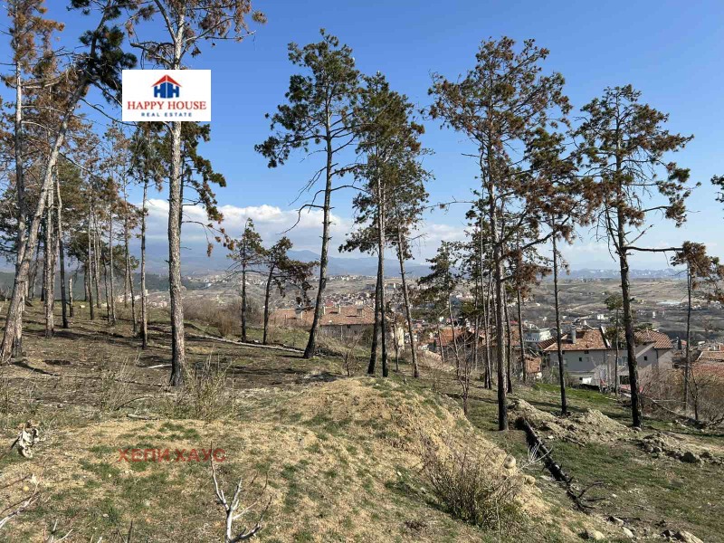 Te koop  Verhaallijn regio Blagoëvgrad , Sandanski , 3639 m² | 85455841 - afbeelding [5]