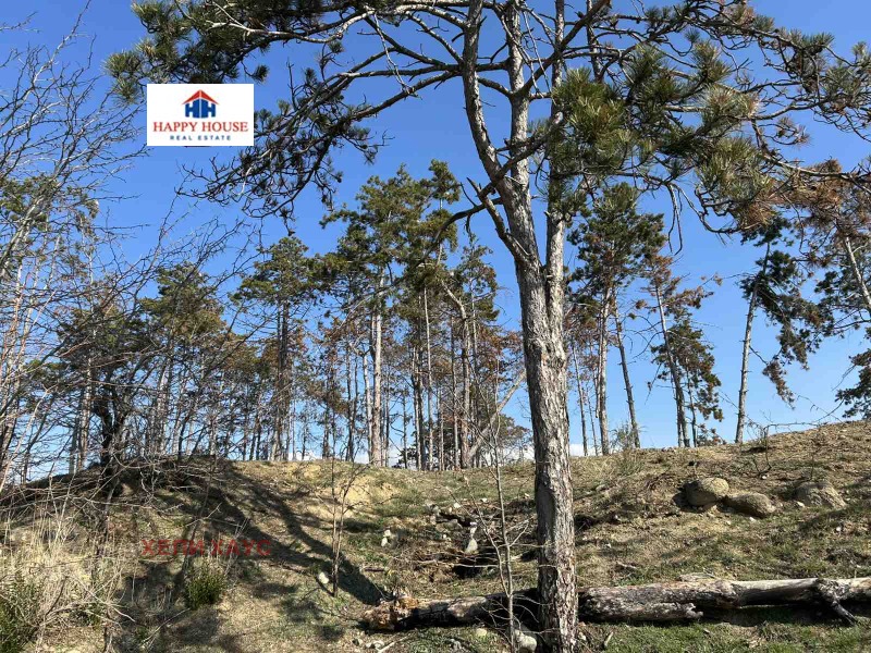 Te koop  Verhaallijn regio Blagoëvgrad , Sandanski , 3639 m² | 85455841 - afbeelding [3]