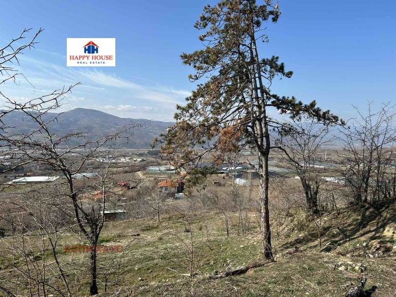Te koop  Verhaallijn regio Blagoëvgrad , Sandanski , 3639 m² | 85455841 - afbeelding [4]