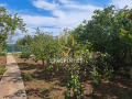 Продава ВИЛА, област Варна, с. Осеново • 40900 € • 93489081 — Holmes.bg