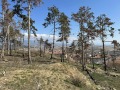 Продава ПАРЦЕЛ, област Благоевград, гр. Сандански • 80000 € • 77309088 — Holmes.bg