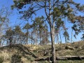Продава ПАРЦЕЛ, област Благоевград, гр. Сандански • 80000 € • 77309088 — Holmes.bg