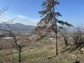Продава ПАРЦЕЛ, област Благоевград, гр. Сандански • 80000 € • 77309088 — Holmes.bg