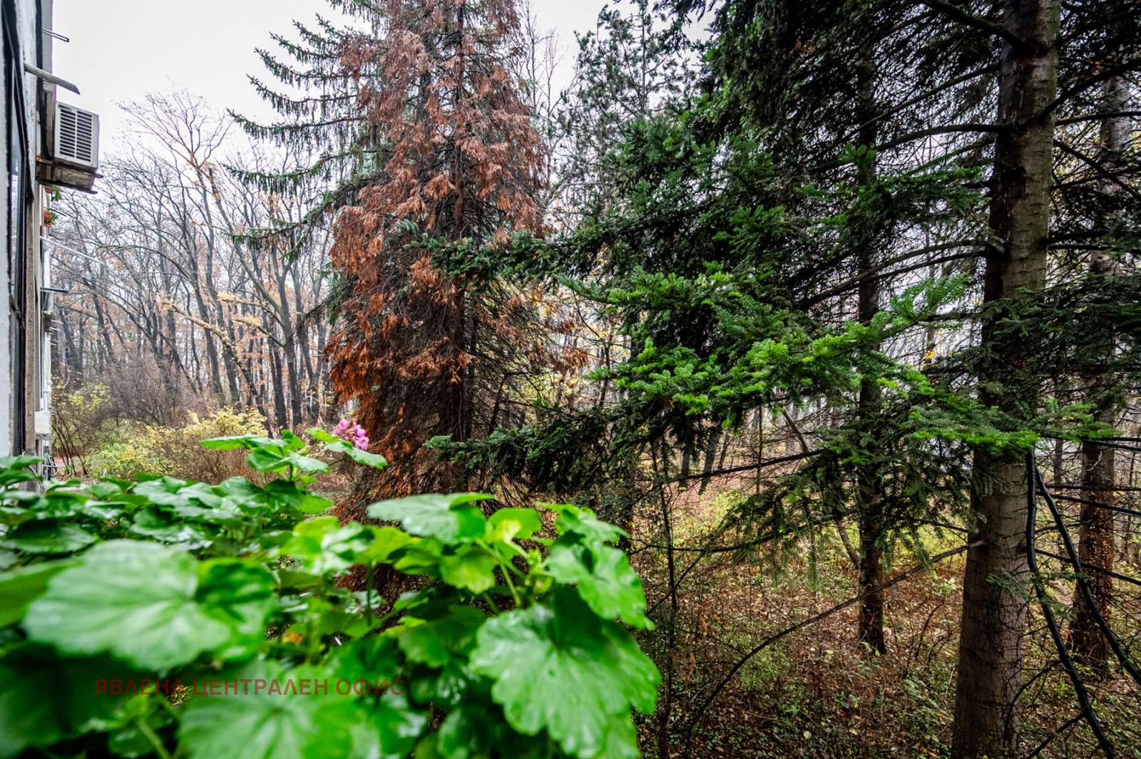 ������� 3-����� | Imot.bg � ����������� 9