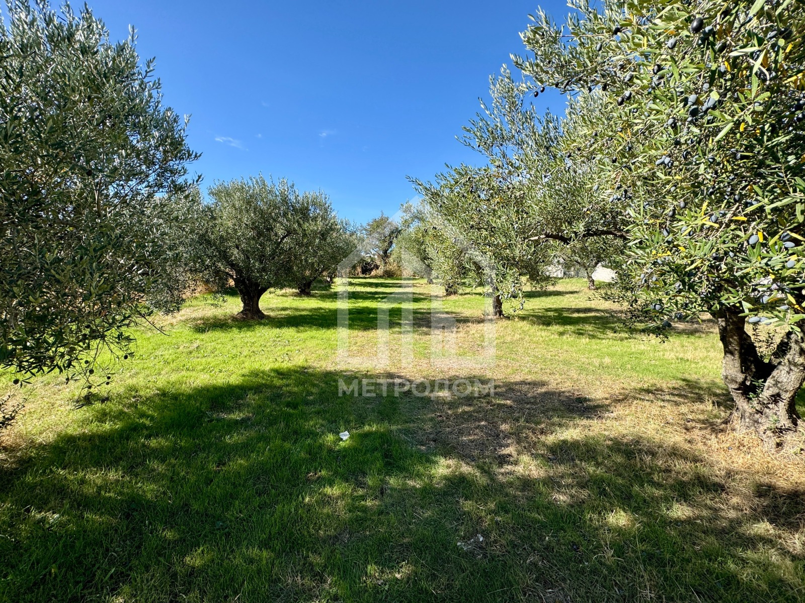 Продава КЪЩА | Imot.bg — изображение 2