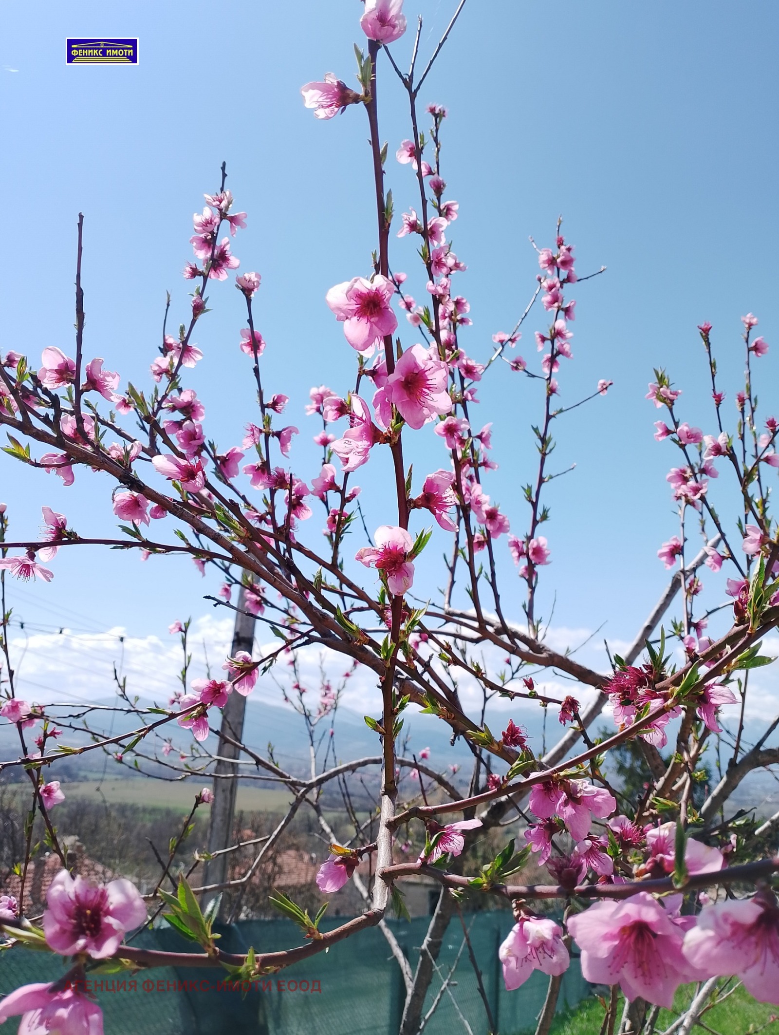 Продава КЪЩА, с. Коняво, област Кюстендил, снимка 16 - Къщи - 52638342