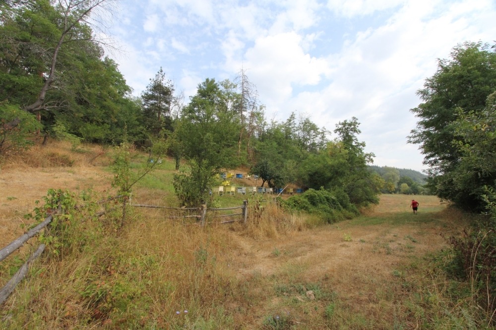 Продава ПАРЦЕЛ, гр. Разлог, област Благоевград, снимка 2 - Парцели - 52574744