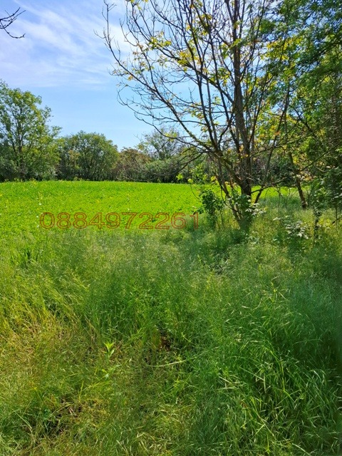 Продава КЪЩА, с. Бутан, област Враца, снимка 6 - Къщи - 52781179