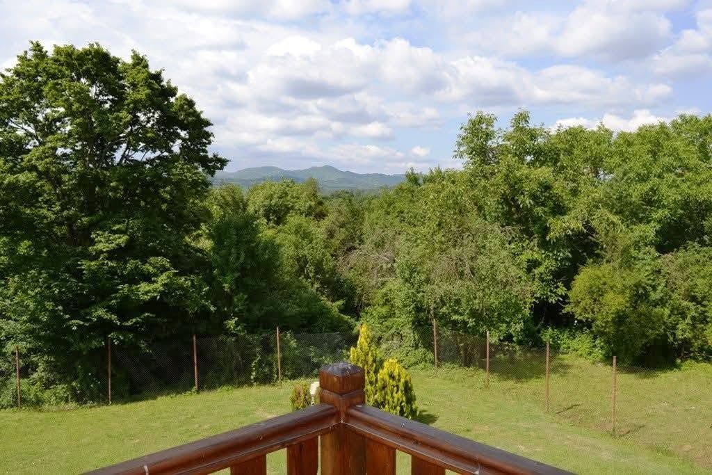 Продава КЪЩА, гр. Елена, област Велико Търново, снимка 11 - Къщи - 55042798