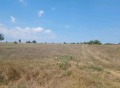 Продава ПАРЦЕЛ, с. Куманово, област Варна, снимка 2