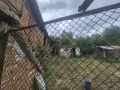 Продава  Къща област Плевен , с. Писарово , 100 кв.м | 12203632 - изображение [3]