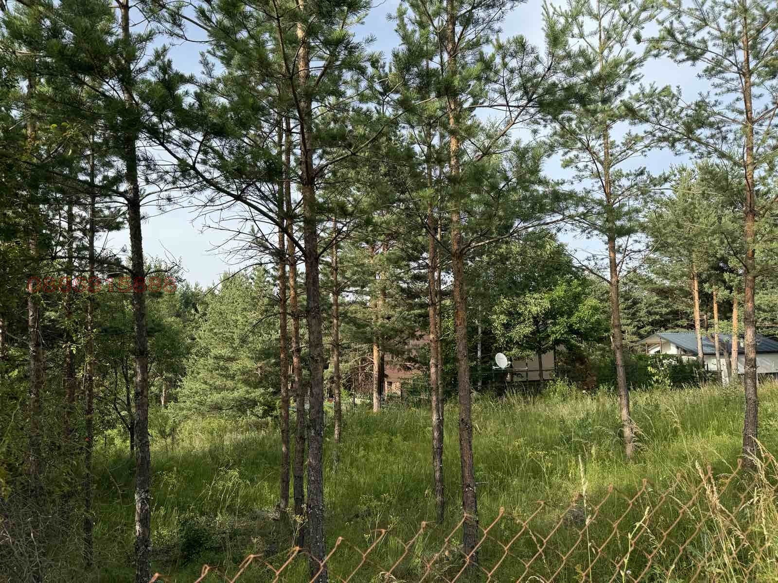 ������� ������ | Imot.bg � ����������� 10