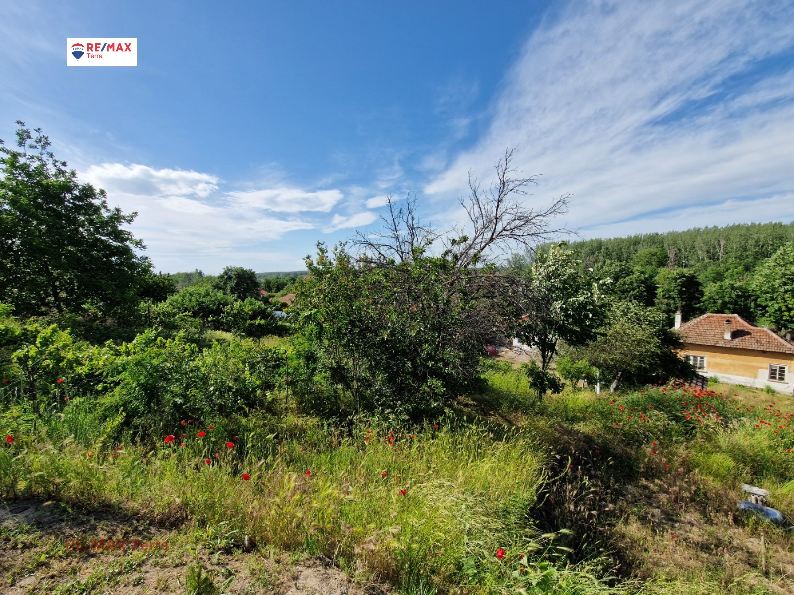 ������� ������ | Imot.bg � ����������� 12