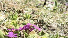 ������� ���� �� ���� | Imot.bg � ����� ������ 10